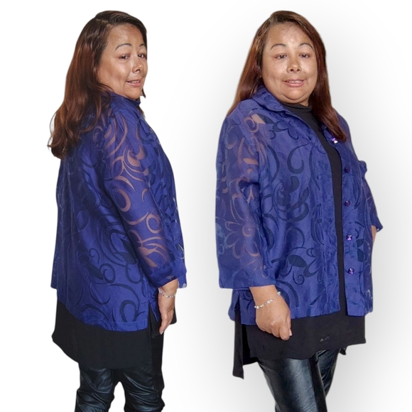 Sheer Blue Button-Up Blouse - Picture 1 of 16